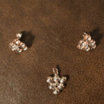 Rose Radiance Set
