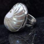 Ocean Spiral