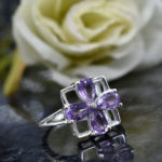 Orchid Radiance