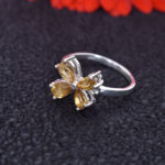 Sun Petal