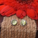 Olive Orbit