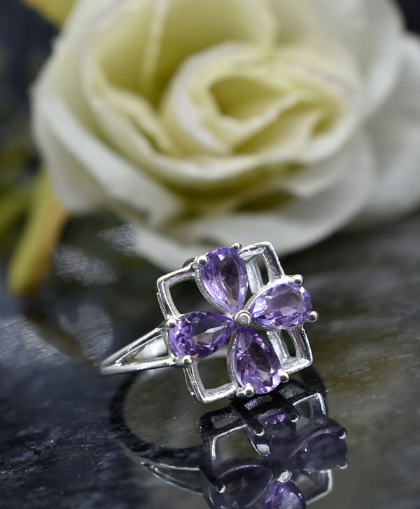 Orchid Radiance