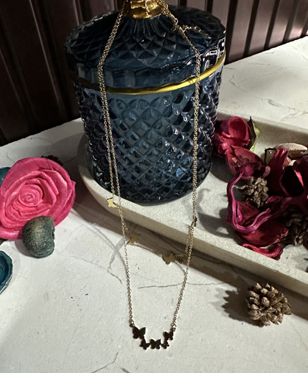 Layered Butterfly Necklace Set